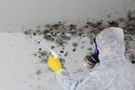 Mold Odor Removal Services in Carroll Valley, PA